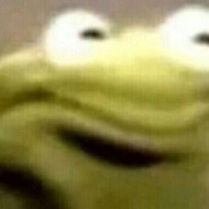 Meet your Posher, Layla